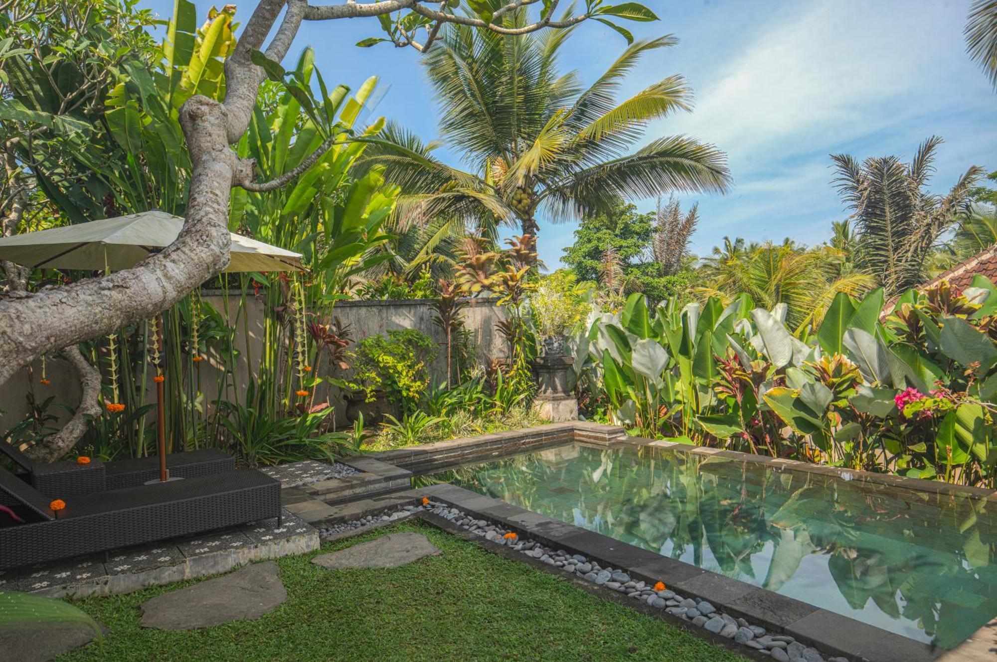 Taluh Bebek Ubud Private Villas Екстер'єр фото
