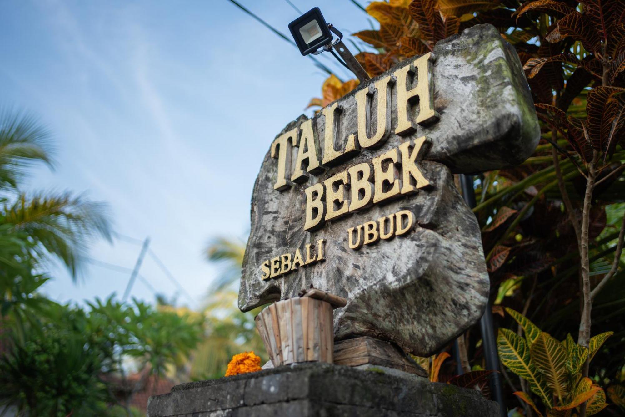 Taluh Bebek Ubud Private Villas Екстер'єр фото