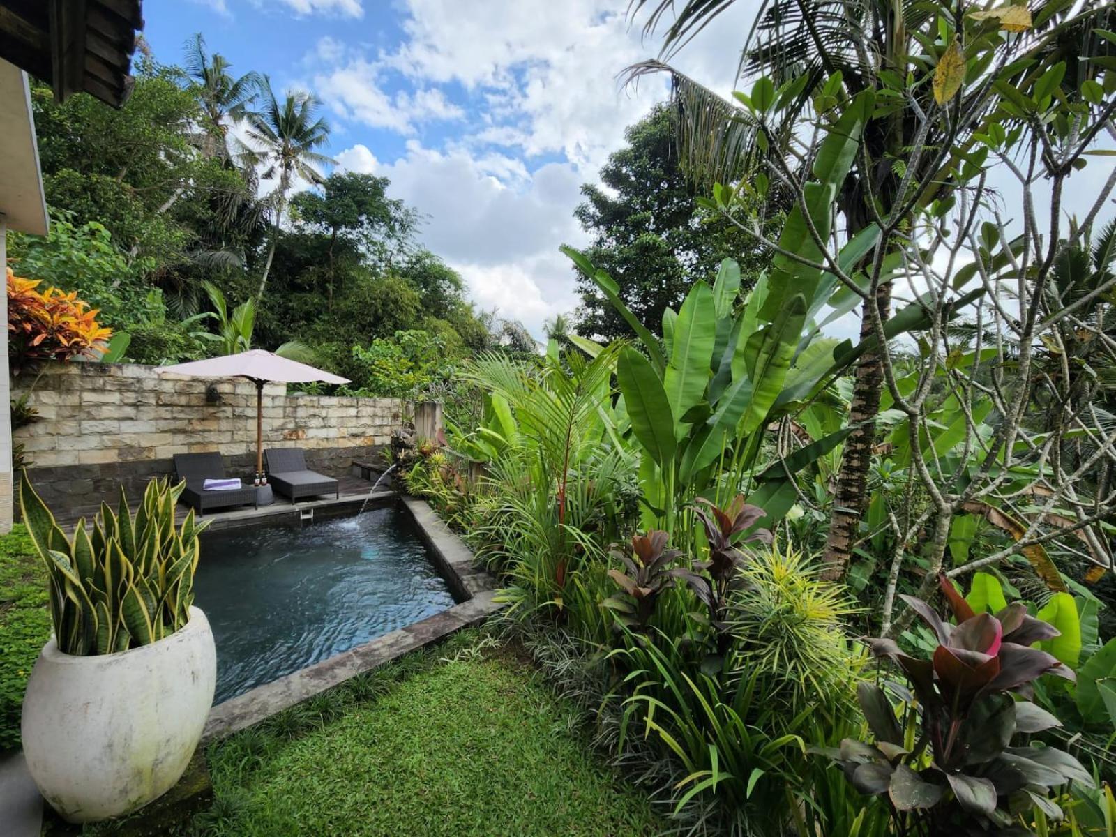 Taluh Bebek Ubud Private Villas Екстер'єр фото